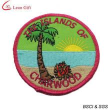 Wholesale Custom Logo School Embroidery Badge (LM1560)